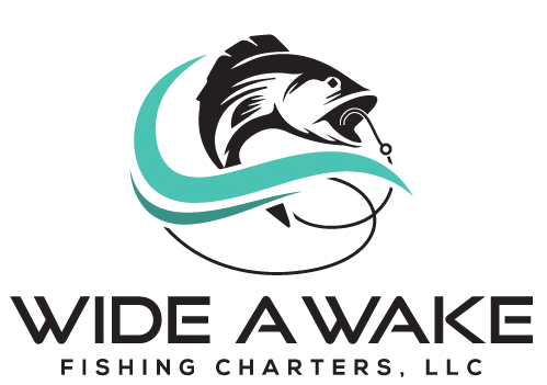 Wide A Wake Fishing Charters transparent